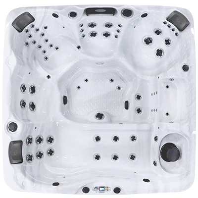 Avalon EC-867L hot tubs for sale in Taylorsville